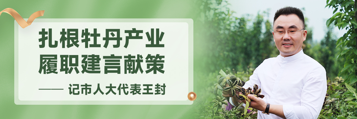 菏澤市人大代表